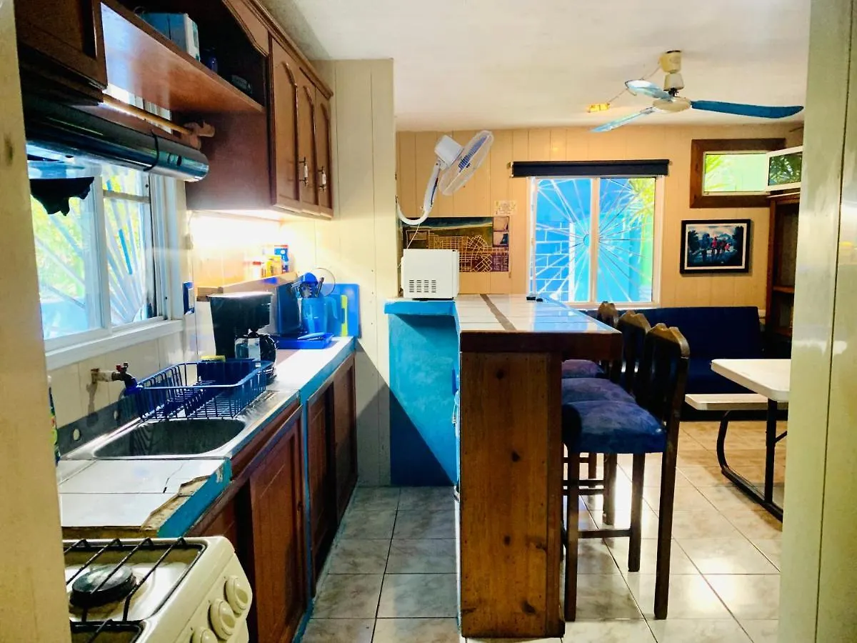 公寓 图卢姆Casa Azul Very Local Experience公寓