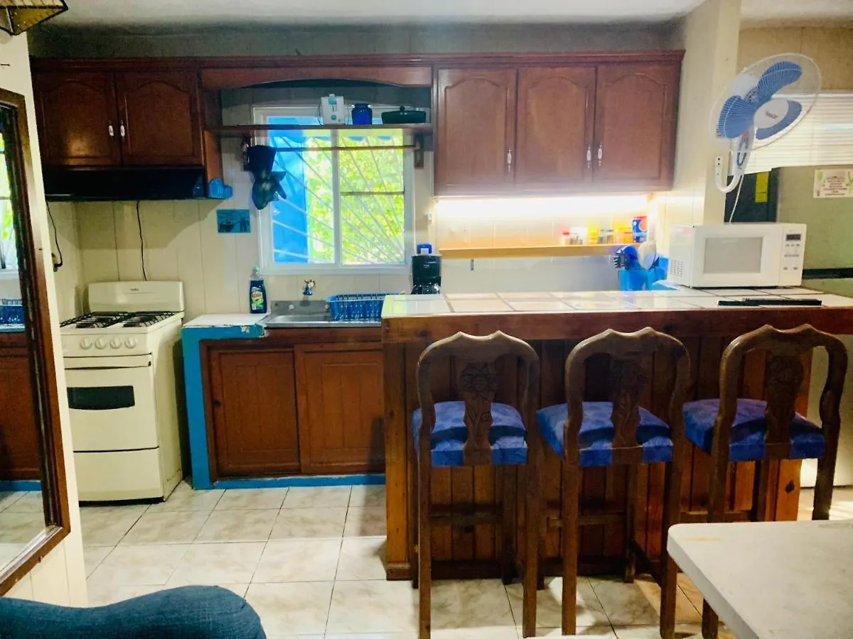 图卢姆Casa Azul Very Local Experience公寓 0*, 图卢姆